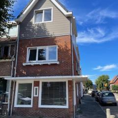 Duinroos vlakbij strand