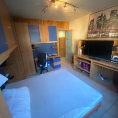 Appart a 10 min de 3 stations de ski