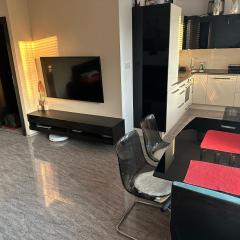 Sunny modern apartment with 2 rooms with a view and good connections to the centre