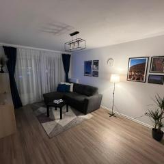 Alina Residence Coresi