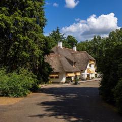 Vakantiehuisje op de Veluwe!