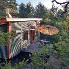 Cabaña entre Bosque y Cordillera