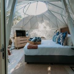 The Forest Dome by Once Upon a Dome @ Misty Mountain Reserve