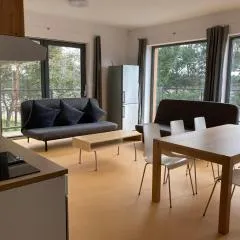 KuK Račice - 4 loznice
