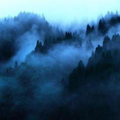 "Mount'n mist"