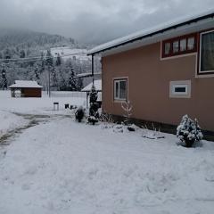 Затишний будиночок біля річки