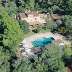 Pine tree Finca Espiga