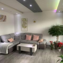 Beau T3 Rumilly entre Annecy et Aix-les-Bains