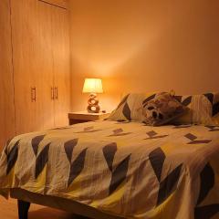 dpto x día chillan 1411