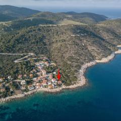 Apartments by the sea Milna, Vis - 8946