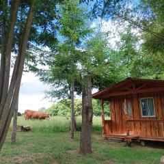 Cabañas y Agroturismo RanchoJyC