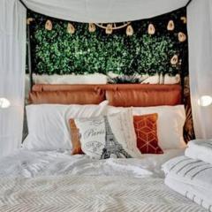 The Hemingway subtropical luxury on the Tampa Bay