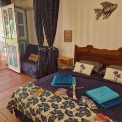 Appartement BUMBU 626 anse des rochers