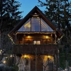 Javor Holiday House