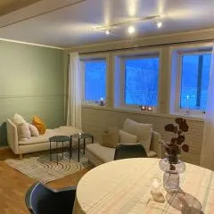 Leilighet med god utsikt