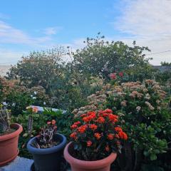 Eterna Primavera Fayna