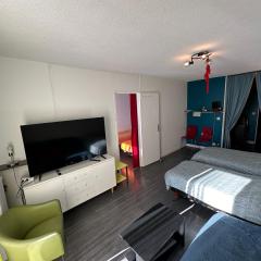 Les Meublés les Dômes du Parc