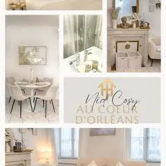 Le Nid Cosy -Au Cœur d'Orléans