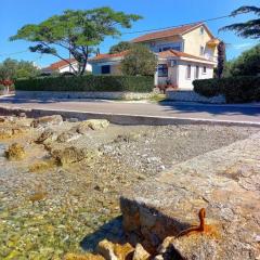 House of Albina- 10 m od mora