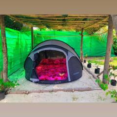 Haranai Camping & Tours