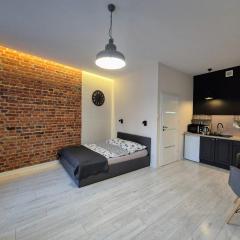 Charming Apartment in The City Centre, Łódź