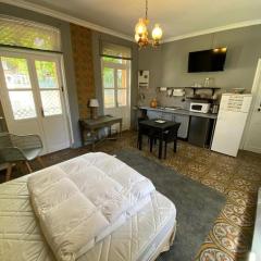 Côté Cité appartements - Parking privé - 100m Cité médiévale