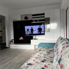 Apartament Teo Ultracentral