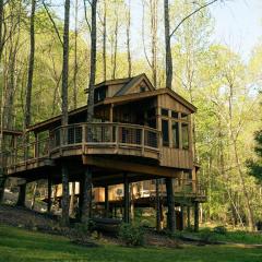The Magnolia in Treehouse Grove at Norton Creek