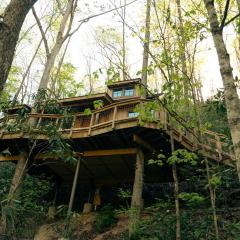The Dogwood in Treehouse Grove at Norton Creek