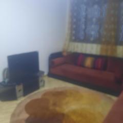 Aimable appartement Ain-attiq