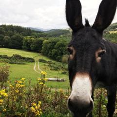 Clara Vale Farm House Retreat