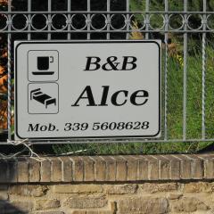 B&B Alce
