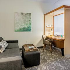 SpringHill Suites Tampa North/Tampa Palms