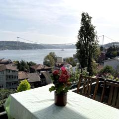 Spectacular Bosphorus View