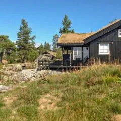 3 Bedroom Stunning Home In Rauland