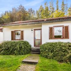 Nice Home In Falkenstein With Wifi And 2 Bedrooms