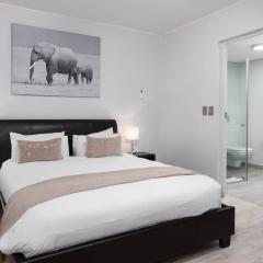 Large and Spacious Apt in De Waterkant next to V&A