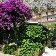 Apartments Mimi Omis
