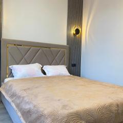 Стильные апартаменты в центре Астаны