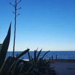 at jardines del mar