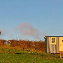 Cosy Shepherds hut in Carmarthen