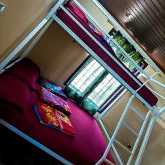 Casspo bunk bed