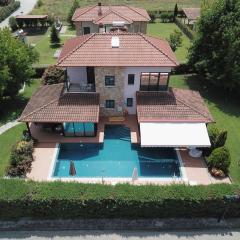 Iliana