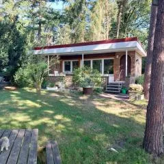 Traumblick Uelsen