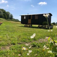 Deer Lodge Shepherds Hut