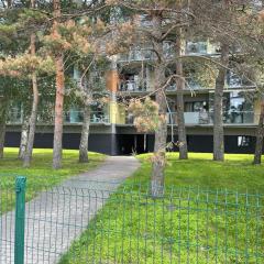 Jaukūs apartamentai prie Jūros / Cosy apartments near Sea