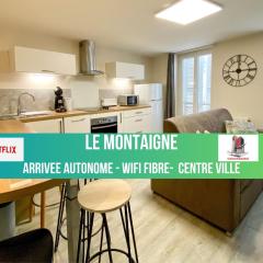 LE MONTAIGNE - Wifi fibre- Coeur du centre ville-PROPERTY RENTAL NM