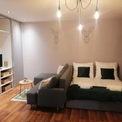Apartament Gagarina 31