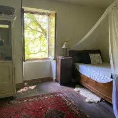 La Maison dans la forêt