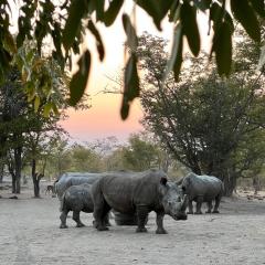 Sukulu Reserve